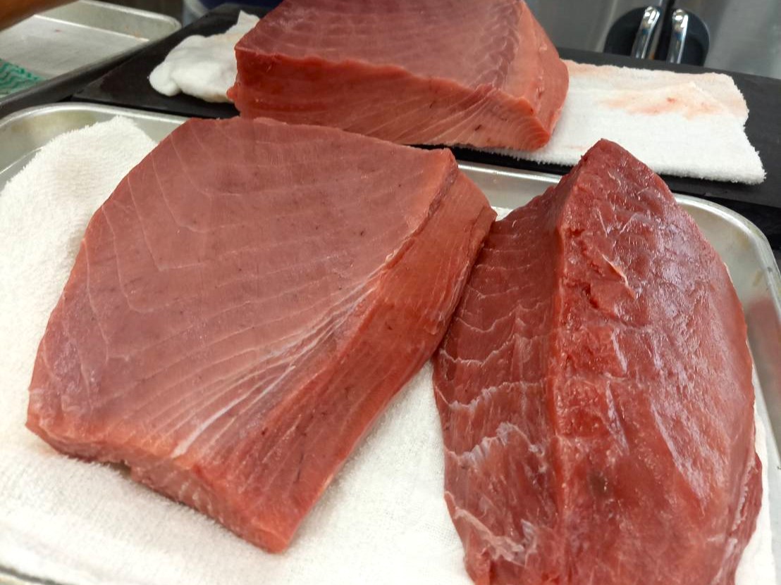境港の生の本マグロを仕入れました！