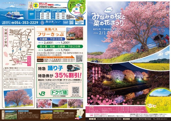 南伊豆の一大イベント♪「みなみの桜と菜の花祭り」