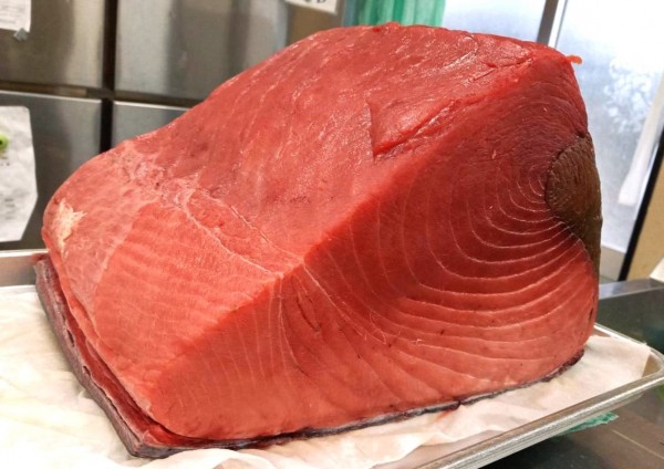 生の本マグロ入荷しましたー！